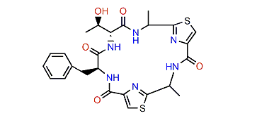 Banyascyclamide C